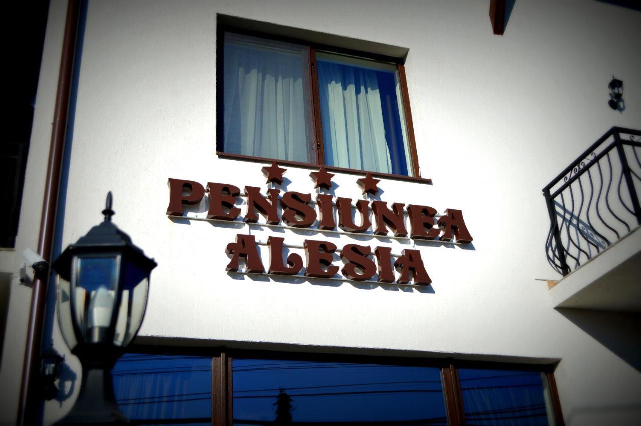 Pensiunea Alesia Pucioasa ภายนอก รูปภาพ